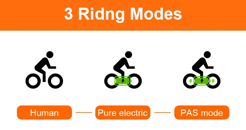 2025 Newest Style 24 Inch Fat Tire Off- Road Electric Mountain Bikes GT2000 Electric Cycle Bicycles for Adults