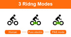 2025 Newest Style 24 Inch Fat Tire Off- Road Electric Mountain Bikes GT2000 Electric Cycle Bicycles for Adults