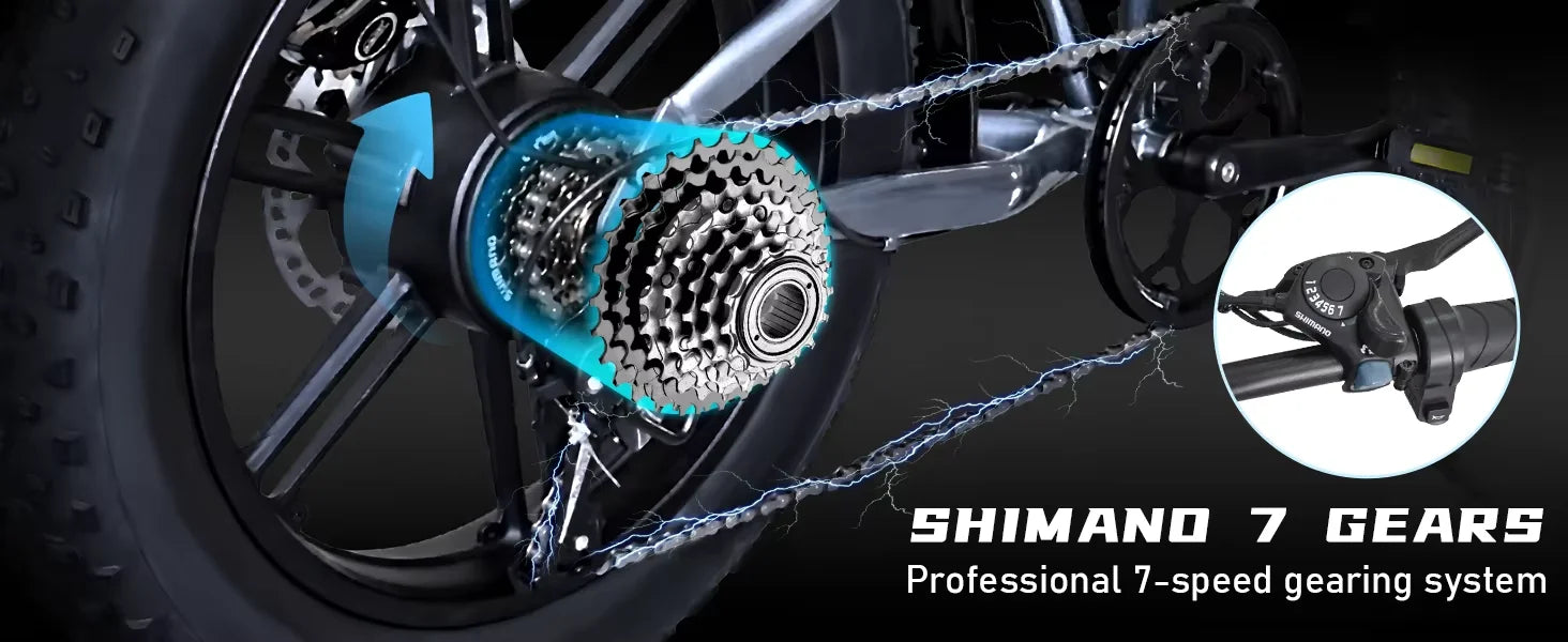 Deepower Electric Bike 2000W 48V 60AH 20Inch Fat Tire Mountain Ebike for Adults Disc Brake Off-Road Adventure Electric Bicycle