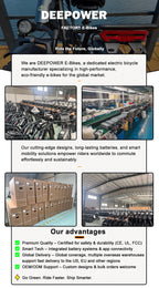 DEEPOWER S7Pro Electric Bike for Adults, 48V, 60Ah,Dual Battery, 20''x4.0 Fat Tires,Snow Mountain E-Bike, 2000W Electric Bicycle