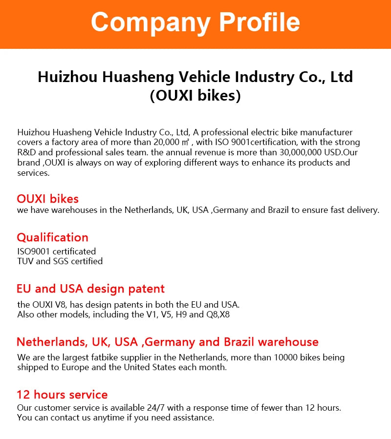 2025 Newest Style 24 Inch Fat Tire Off- Road Electric Mountain Bikes GT2000 Electric Cycle Bicycles for Adults