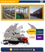 Electric Two-wheeler E Bike E Bicycle 500W Electric Bike Electric Bicycle with 48V/60V Lead- Acid Battery for Adults