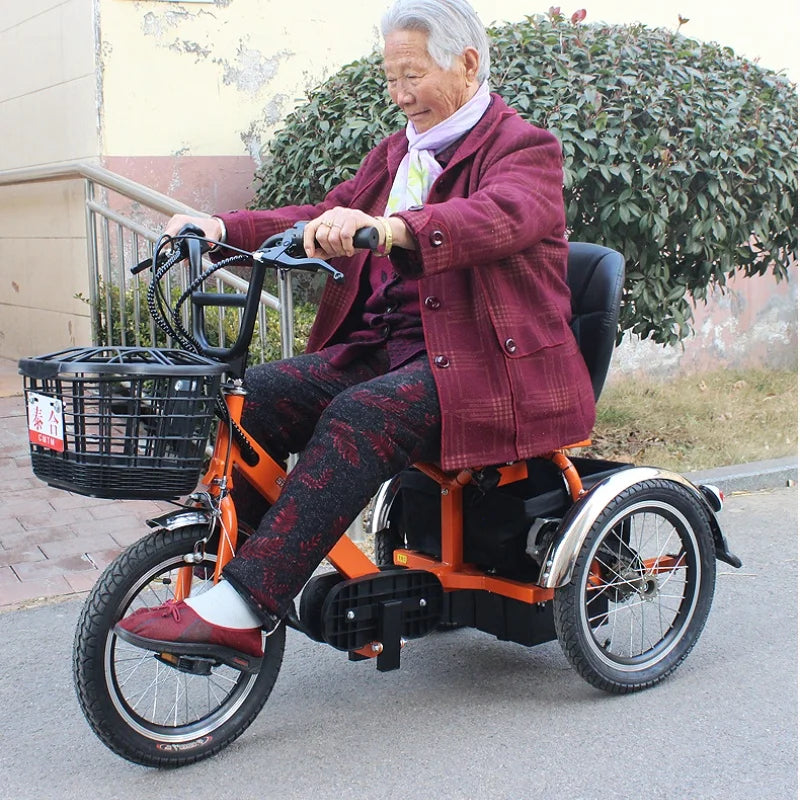 Mini Electric Tricycle With Passenger Seat For Elderly 250w 24v Lightweight Family Electric Bike 3 Wheel For Women Man Adult