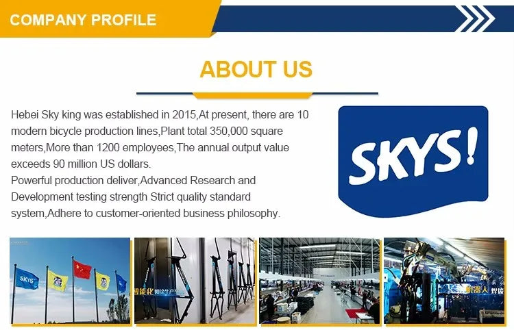 Electric Two-wheeler E Bike E Bicycle 500W Electric Bike Electric Bicycle with 48V/60V Lead- Acid Battery for Adults