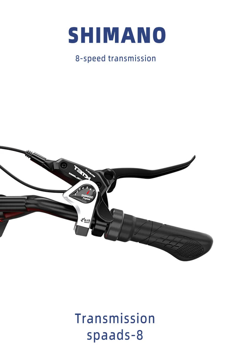 Retro Electric Motorcycle  2000W 52V 40AH Electric Motorcycle 20*40 Fat Tire Mountain Electric Bike Adult Off-Road Bicycle