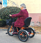 Mini Electric Tricycle With Passenger Seat For Elderly 250w 24v Lightweight Family Electric Bike 3 Wheel For Women Man Adult