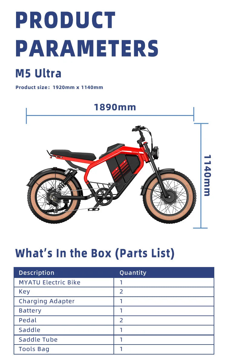 Retro Electric Motorcycle  2000W 52V 40AH Electric Motorcycle 20*40 Fat Tire Mountain Electric Bike Adult Off-Road Bicycle